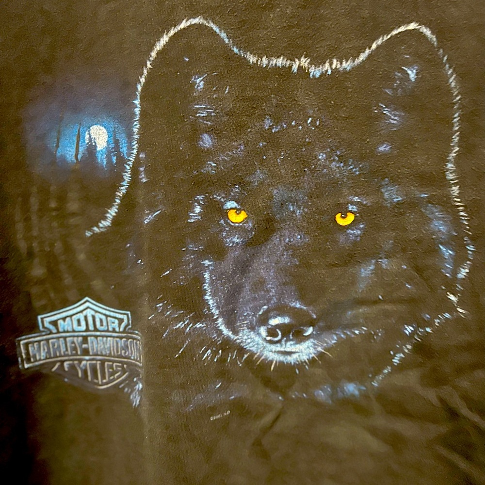 VINTAGE  Harley Davidson Shirt 2x